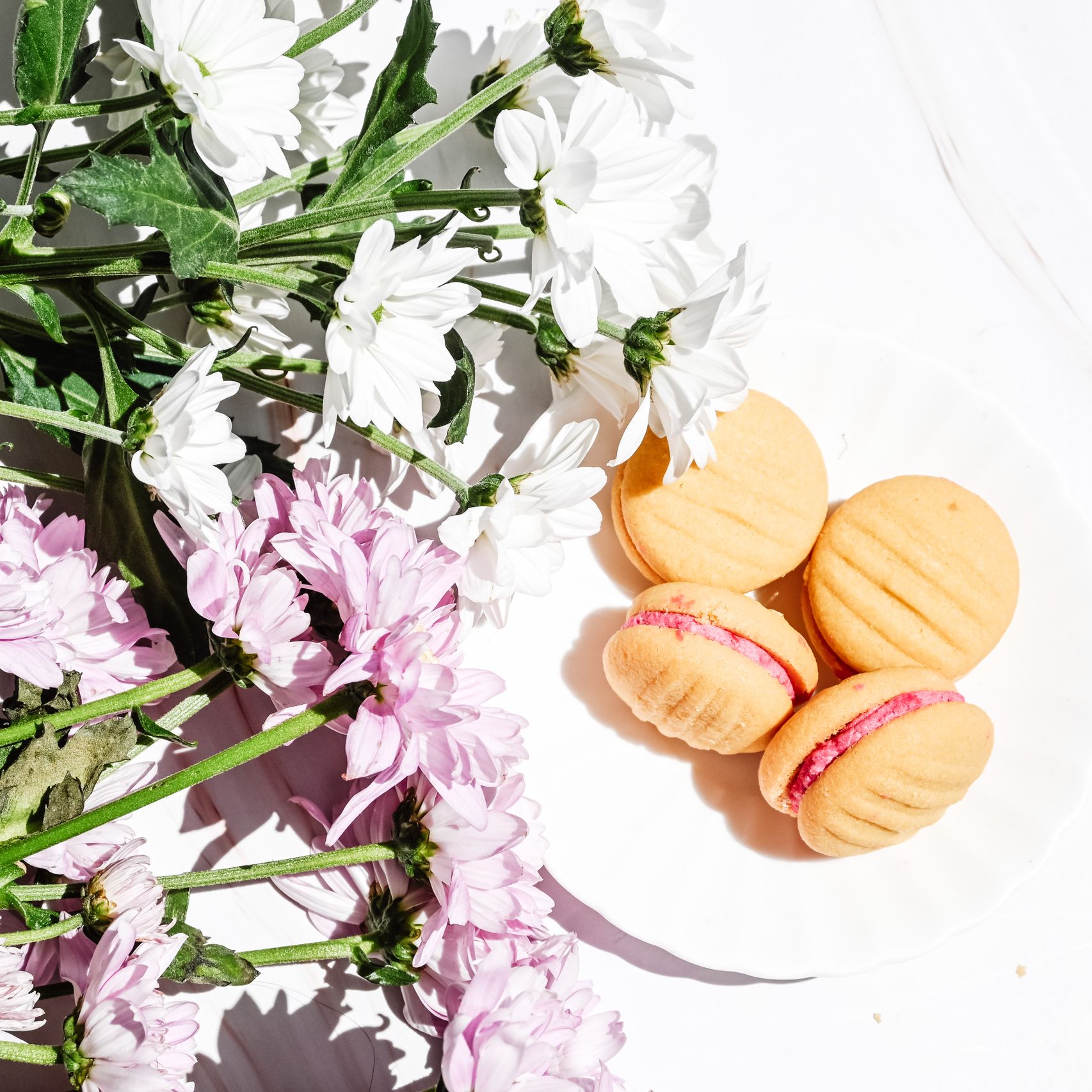 Almond Biscotti